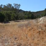 Paramount_118 (October 18, 2014)